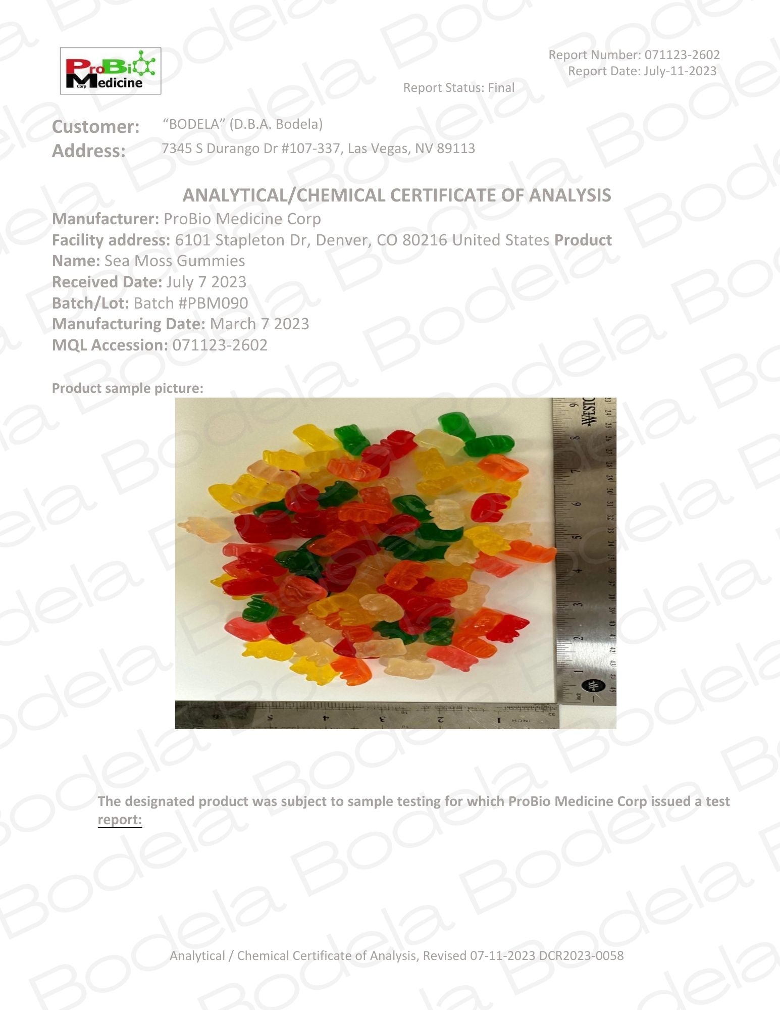 Sea Moss Gummies 3-Pack