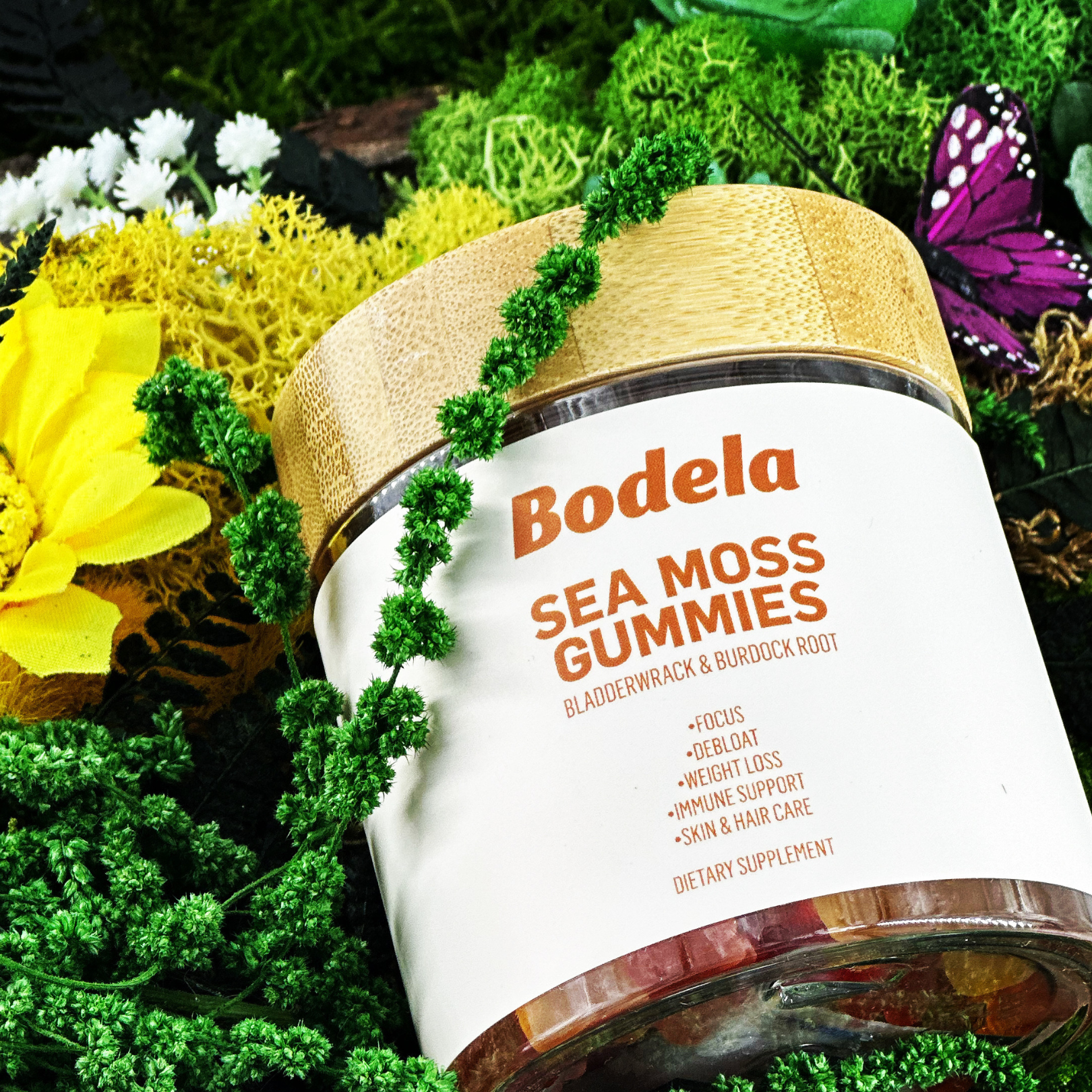 Sea Moss Gummies 3-Pack